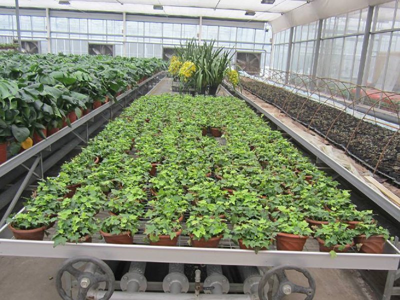 苗床網片 苗床網片